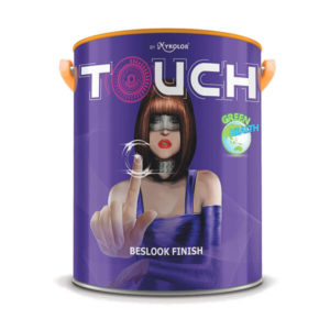 MYKOLOR-TOUCH-BESLOOK-FINISH-5L