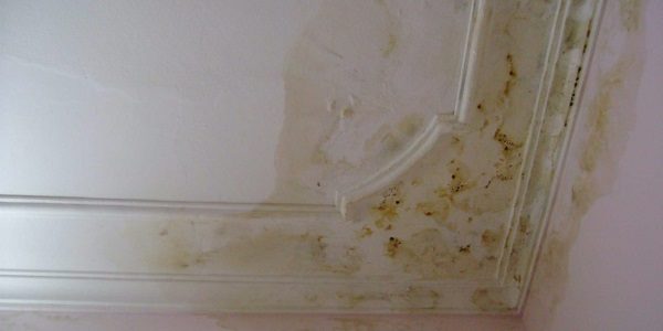 sơn tường nội thất bị xà phòng hóa