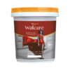 Mykolor Walcare Semigloss For Exterior