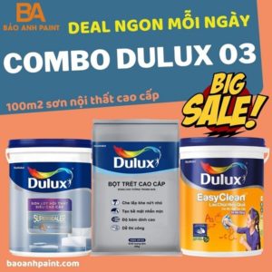 Combo Dulux 03